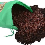 Uncle-Jims-Worm-Farm-5000-Count-Red-Wiggler-Composting-Worms-0-1