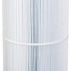 Unicel-Replacement-Filter-Cartridge-for-100-Square-Foot-Predator-0