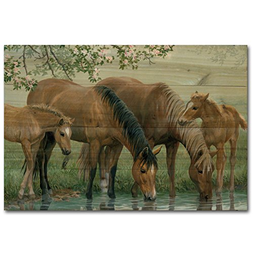 WGI-GALLERY-128-Sweet-Spring-Horses-Wooden-Wall-Art-0