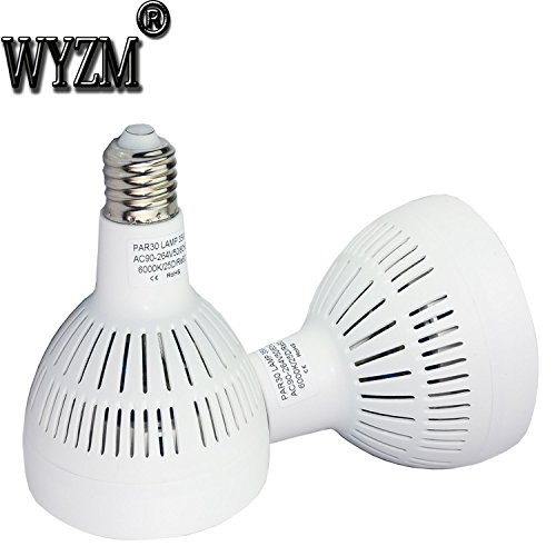 WYZM-35watt-Swimming-Pool-LED-Light-Bulb-6000k-Daylight-White-E26-Screw-Base-500w-Traditional-Bulb-Replacement-0-1