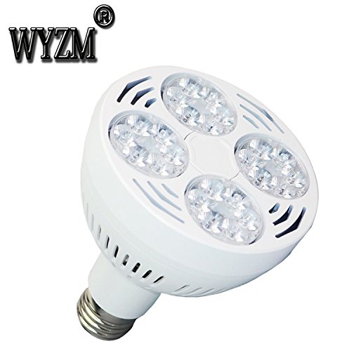 WYZM-35watt-Swimming-Pool-LED-Light-Bulb-6000k-Daylight-White-E26-Screw-Base-500w-Traditional-Bulb-Replacement-0