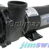 Waterway-Plastics-3420820-1A-Pump-230V-0