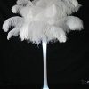 White-Ostrich-Feather-12-to-14-Inch-Pack-of-100-Ship-From-New-York-0