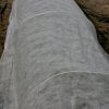 Winter-Blanketfrost-Cover-seed-Bed-floating-Row-Cover-Crop-Cover-6-X-250-1-Ea-By-Growers-Solution-0