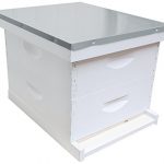 10-Frame-Complete-6-58-Inch-Hive-Kit-Assembled-Made-in-the-USA-0