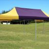 10×20-Pop-up-Canopy-Wedding-Party-Tent-Instant-EZ-Canopy-Yellow-Purple-F-Model-Commercial-Grade-Frame-By-DELTA-0-2