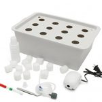 220V-Hydroponic-System-Kit-12-Holes-DWC-Soilless-Cultivation-Indoor-Water-Planting-Grow-Box-by-AdvancedShop-0