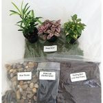 3-Live-Plant-Fairy-Garden-Kit-Create-Your-Own-Living-Terrarium-Best-GIft-NEW-0
