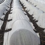45FT-Long-Agfabric-Grow-TunnelMini-GreenhouseHoophouse-Tunnel-Kits-09oz-Row-Cover-and-Tunnel-HoopsPlant-Cover-Frost-Blanket-For-Season-Extension-and-Seed-Germination-0-1