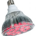 6cs-powerPAR-LED-Bulb-Red-15W-0