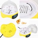 7-Eggs-Digital-Incubator-Hatcher-Turning-Temperature-Control-Duck-and-Bird-0-0