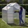 8-FT-x-6-FT-GREENHOUSE-0