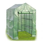 8-Shelves-Greenhouse-Portable-Mini-Walk-In-Outdoor-Green-House-2-Tier-0-6