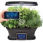 AeroGarden-Bounty-Wi-Fi-with-Gourmet-Herb-Seed-Pod-Kit-0