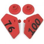 Allflex-Global-Hog-Male-Numbered-Tags-Red-Numbers-76-100-C25699DN-0