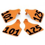 Allflex-Global-Large-Double-Female-Numbered-Tags-with-Studs-Orange-Numbers-101-125-C23285EN-0