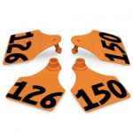 Allflex-Global-Large-Double-Female-Numbered-Tags-with-Studs-Orange-Numbers-126-150-C23285FN-0