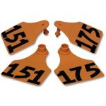 Allflex-Global-Large-Double-Female-Numbered-Tags-with-Studs-Orange-Numbers-151-175-C23285GN-0