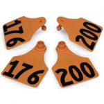 Allflex-Global-Large-Double-Female-Numbered-Tags-with-Studs-Orange-Numbers-176-200-C23285HN-0