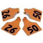 Allflex-Global-Large-Double-Female-Numbered-Tags-with-Studs-Orange-Numbers-26-50-C23285BN-0