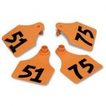 Allflex-Global-Large-Double-Female-Numbered-Tags-with-Studs-Orange-Numbers-51-75-C23285CN-0