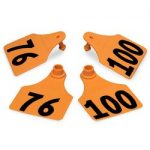 Allflex-Global-Large-Double-Female-Numbered-Tags-with-Studs-Orange-Numbers-76-100-C23285DN-0