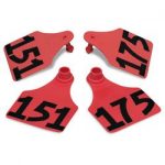 Allflex-Global-Large-Double-Female-Numbered-Tags-with-Studs-Red-Numbers-151-175-C23287GN-0