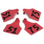 Allflex-Global-Large-Double-Female-Numbered-Tags-with-Studs-Red-Numbers-51-75-C23287CN-0