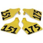 Allflex-Global-Large-Double-Female-Numbered-Tags-with-Studs-Yellow-Numbers-151-175-C23284GN-0