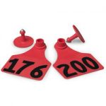 Allflex-Global-Large-Female-Numbered-Tags-with-Studs-Red-Numbers-176-200-C23269HN-0