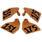 Allflex-Global-Medium-Double-Female-Numbered-Tags-with-Studs-Orange-Numbers-151-175-C23291GN-0