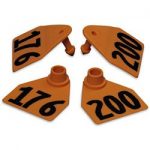 Allflex-Global-Medium-Double-Female-Numbered-Tags-with-Studs-Orange-Numbers-176-200-C23291HN-0
