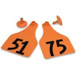 Allflex-Global-Super-Maxi-Female-Numbered-Tags-with-Studs-Orange-Numbers-51-75-C23255CN-0