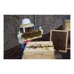 Bee-Champions-BEE-CH-BOX-FRM-MD-3Pk-Honey-Bee-Box-with-10-Frames-3-Pack-Medium-0-2