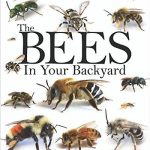 Beekeeping-Books-The-Bees-In-Your-Backyard-0