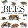 Blythewood-Bee-Company-The-Bees-in-Your-Backyard-0