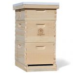 Busy-Bees-n-More-Complete-8-Frame-Langstroth-Bee-Hive-includes-Frames-Foundations-LBH08-2D1M-0