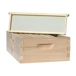 Busy-Bees-n-More-Complete-8-Frame-Langstroth-Bee-Hive-includes-Frames-Foundations-LBH08-2D1M-0-2