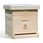 Busy-Bees-n-More-Starter-Bee-Hive-Complete-for-Honey-with-Frames-Foundations-10-Frame-LBH10-1D1M-0