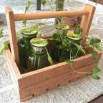 Charming-DIY-Hydroponic-Herb-Garden-Kit-Includes-1-Rustic-Wood-herb-Caddy-5-Glass-Bottles-with-Form-Fitting-Opening-Compatible-for-AeroGarden-Seed-pods-1-eyedropper-Water-Medium-no-Soil-Needed-0-0