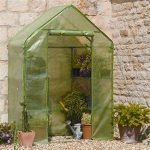 Compact-Walk-In-Greenhouse-7620-0