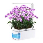 Countertop-Hydroponic-Growing-System-Kit-with-LED-Grow-Light-Herb-Gardening-Pots-Smart-Low-Water-Alarm-Herb-Garden-for-Tomato-Thyme-Lettuce-360-Adjustable-Desk-Reading-Lamp-Seeds-Not-Included-0