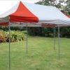 DELTA-Canopies-10×20-Ez-Pop-Up-Canopy-Party-Tent-Instant-Gazebos-100-Waterproof-Top-with-6-Removable-Sides-RedWhite-E-Model-0-2