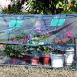 DELTA-Canopies-Green-Garden-Hot-House-Mini-Greenhouse-51-Wx24D-x20-H-GH004-Two-included-0