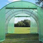 DELTA-Canopies-Greenhouse-10×10-B2-54-lbs-Green-House-Walk-in-Hot-House-By-0-1