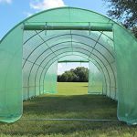 DELTA-Canopies-Greenhouse-20×10-B2-94-lbs-Green-House-Walk-in-Hot-House-0-2
