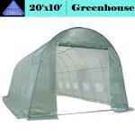 DELTA-Canopies-Large-Heavy-Duty-Green-House-Walk-in-Greenhouse-Hothouse-20-X-10-125-Pounds-0