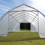 DELTA-Canopies-Large-Walk-in-Green-Graden-House-Commercial-Grade-40×20-Clear-Greenhouse-0-0