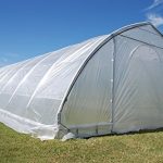 DELTA-Canopies-Large-Walk-in-Green-Graden-House-Commercial-Grade-40×20-Clear-Greenhouse-0-1