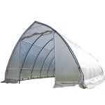 DELTA-Canopies-Large-Walk-in-Green-Graden-House-Commercial-Grade-40×20-Clear-Greenhouse-0
